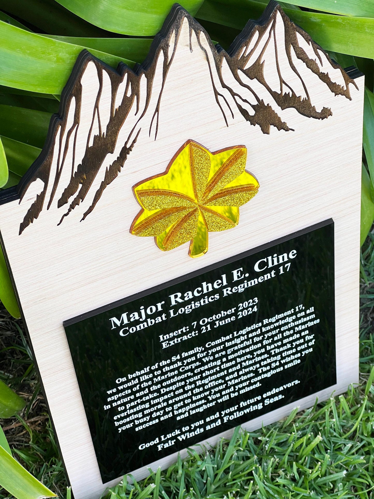 Marine corps plaques, Marine Corps retirement gift, marine corps gift, USMC plaque, Marine retirement, Marine retired, USMC License #286-23