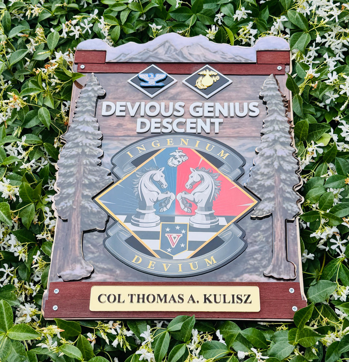 Custom Plaque Order