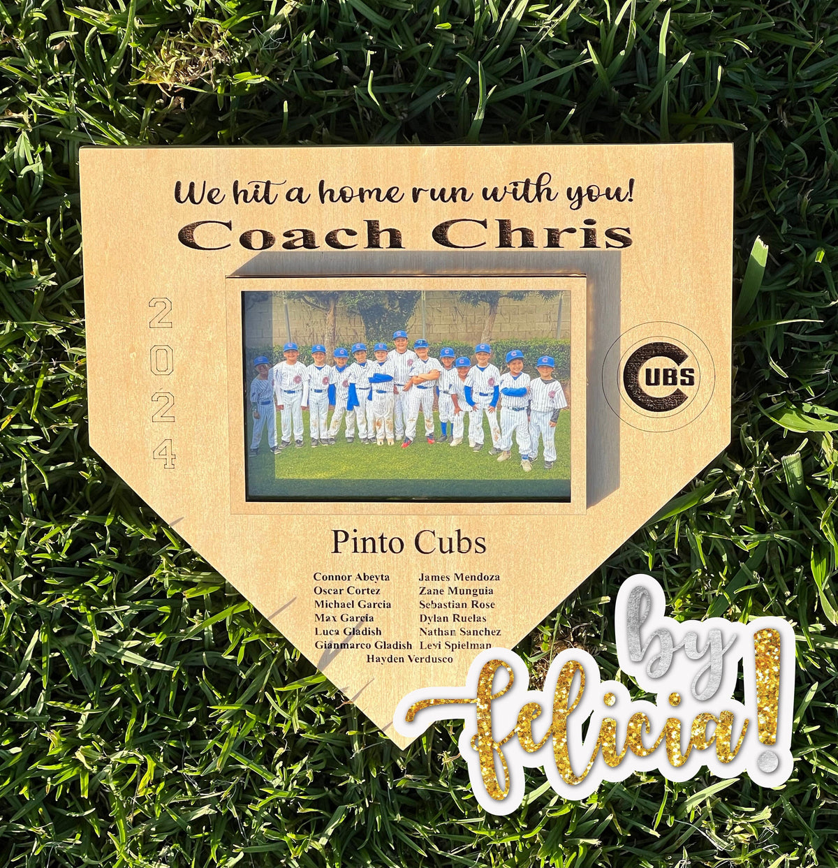 Personalized Baseball Coach Gift: Engraved Photo Frame