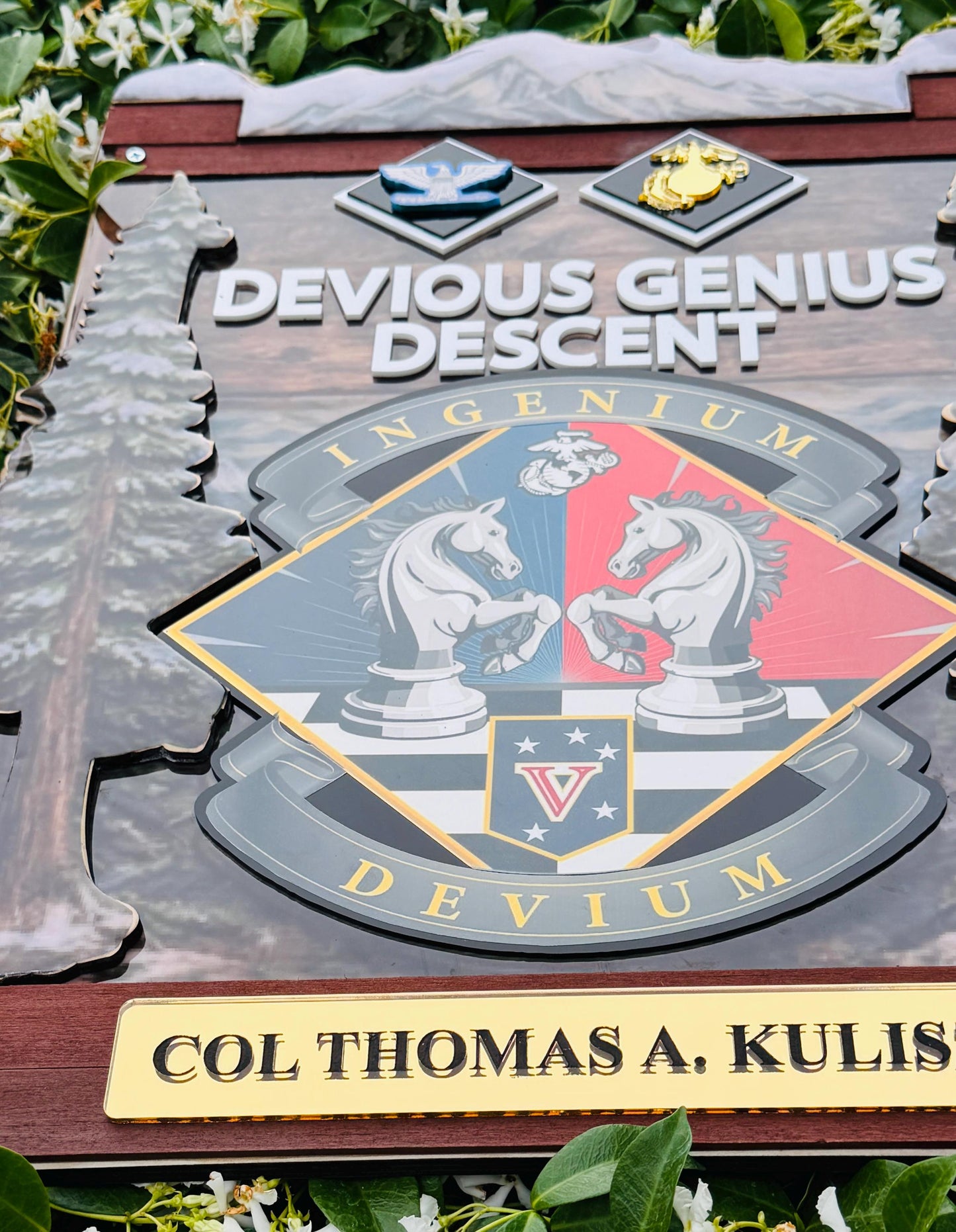 Marine corps plaques, Marine Corps retirement gift,  marine corps gift, USMC plaque, Marine retirement, Marine retired, USMC License #286-23