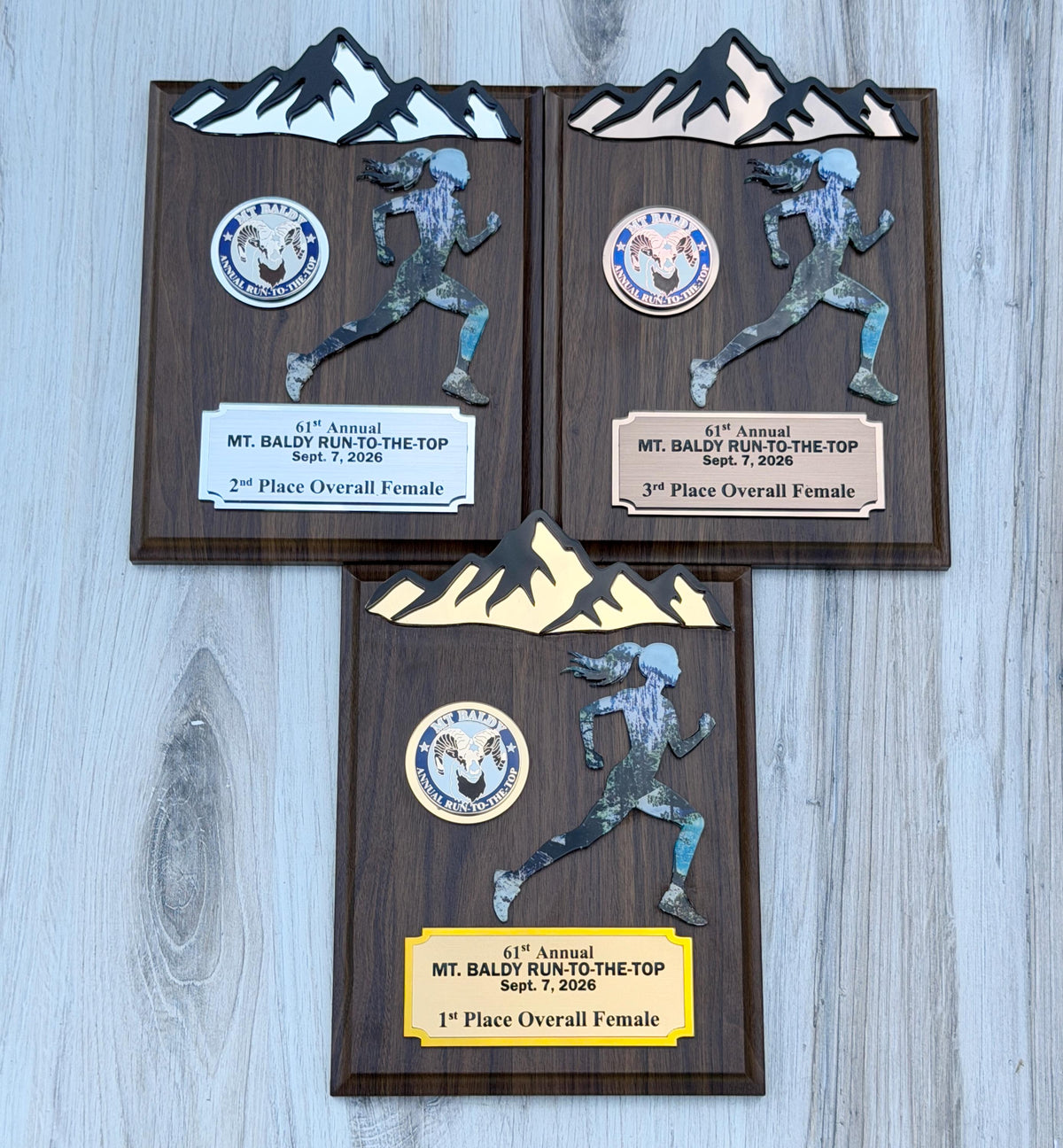 Runner Trophy, Runner award custom , Custum award trophy, Race award plaque, Award plaque custom, Awards and trophies, 1st place award