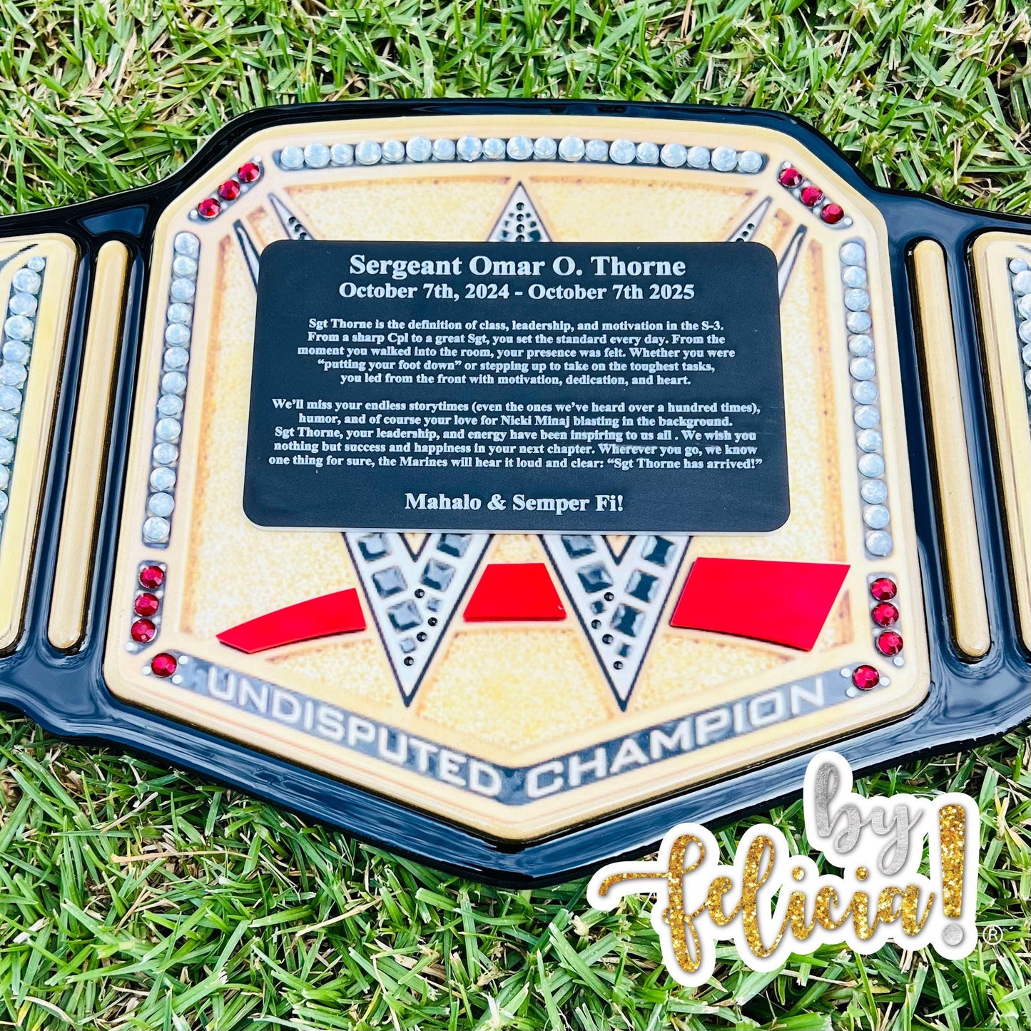 Handmade Marine Corps Retirement Plaque: USMC Veteran Gift