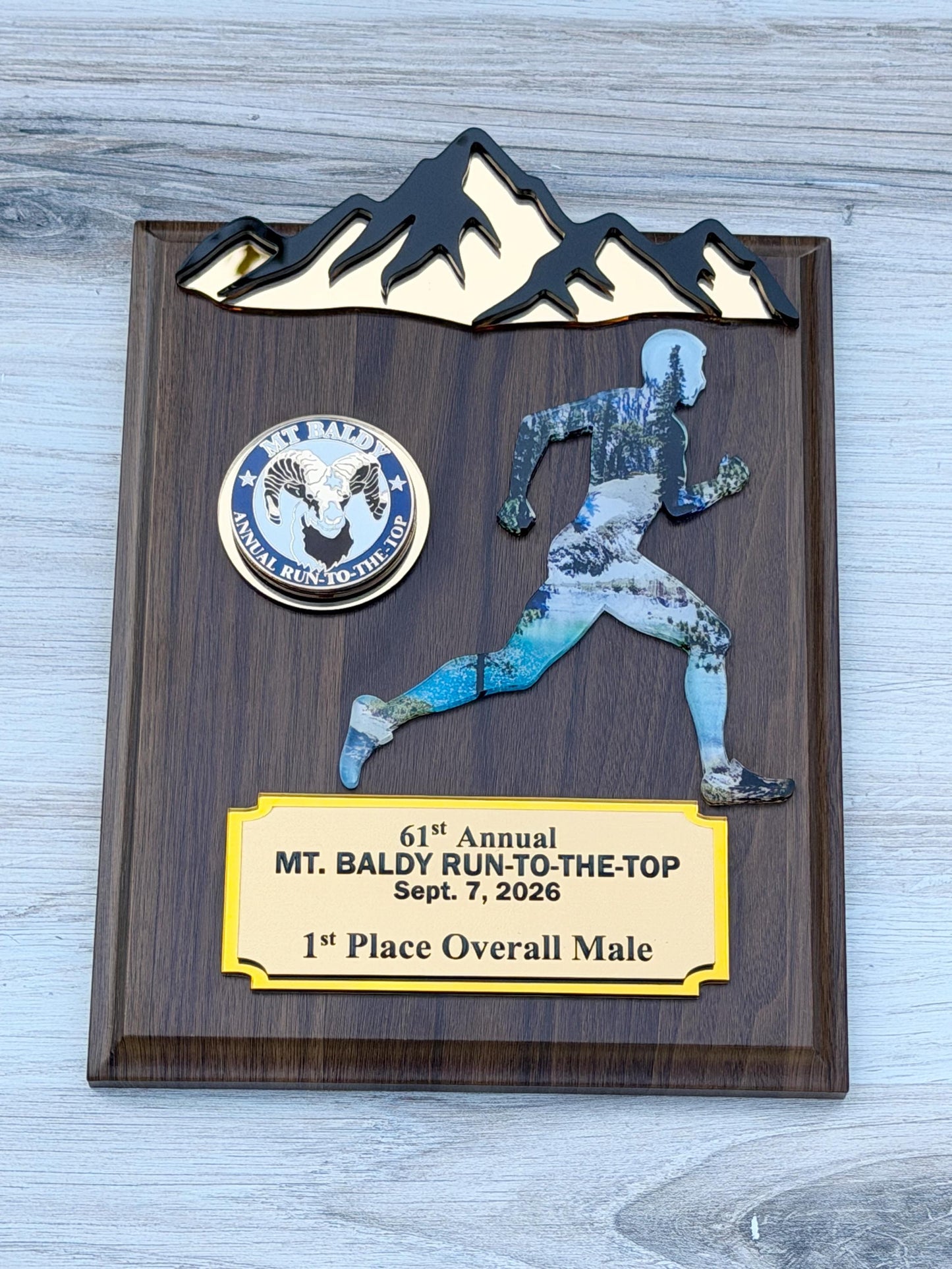 Runner Trophy, Runner award custom , Custum award trophy, Race award plaque, Award plaque custom, Awards and trophies, 1st place award
