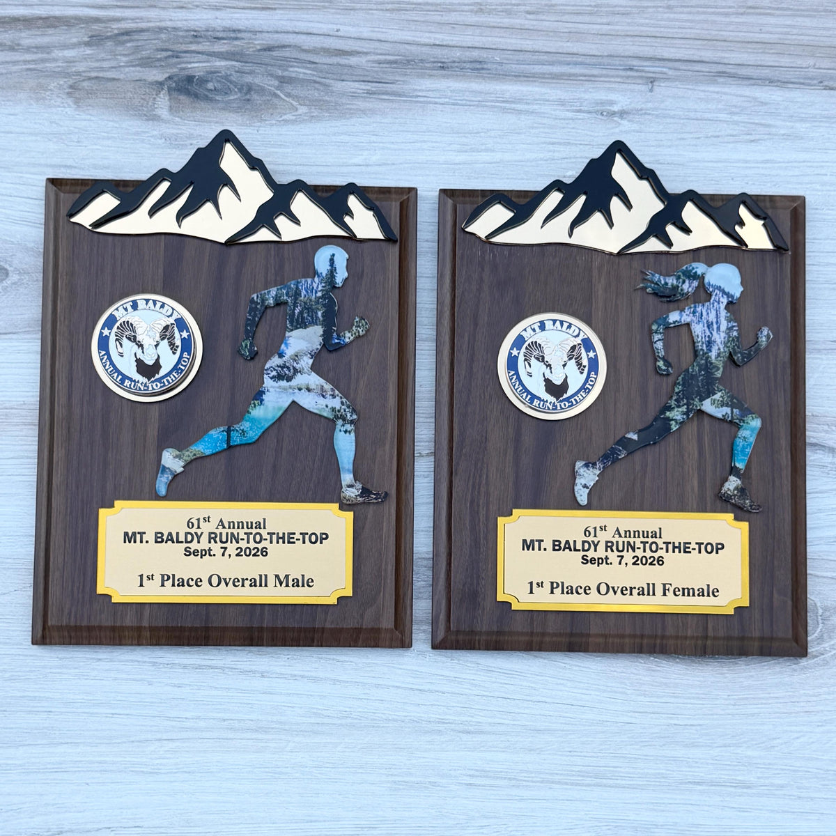 Runner Trophy, Runner award custom , Custum award trophy, Race award plaque, Award plaque custom, Awards and trophies, 1st place award