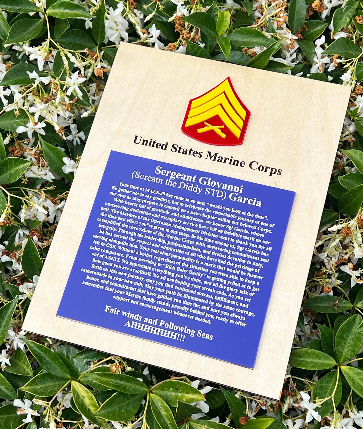 Marine Corps plaque, Marine Corps retirement gift, Marine Corps retired, Marine Corps gifts, USMC Retirement gift, USMC License #286-23