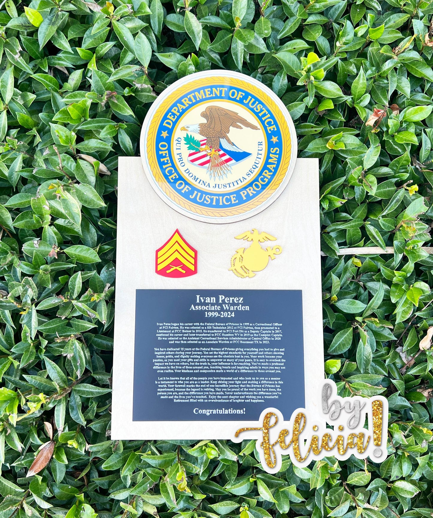 Marine corps plaques, Marine Corps retirement gift,  marine corps gift, USMC plaque, Marine retirement, Marine retired, USMC License #286-23