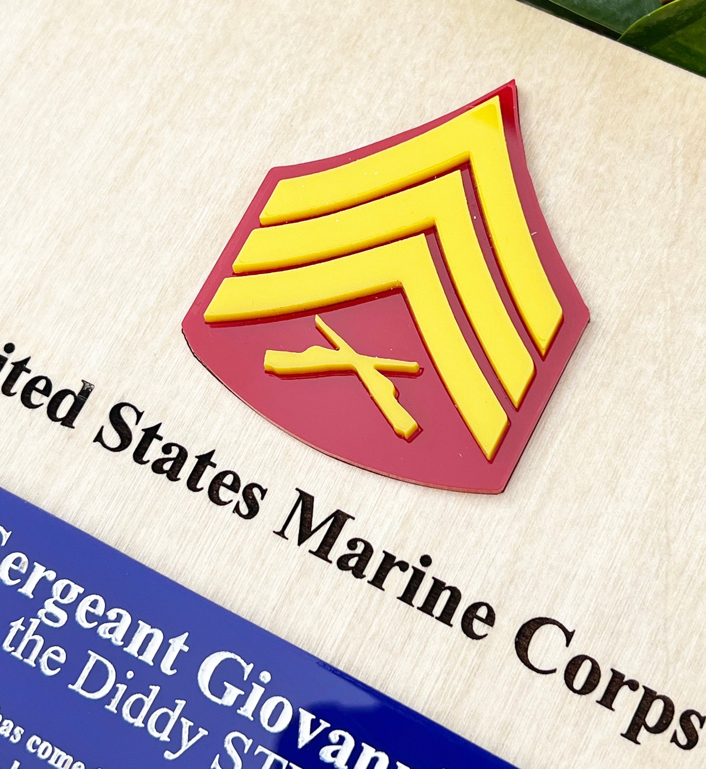 Marine Corps plaque, Marine Corps retirement gift, Marine Corps retired, Marine Corps gifts, USMC Retirement gift, USMC License #286-23