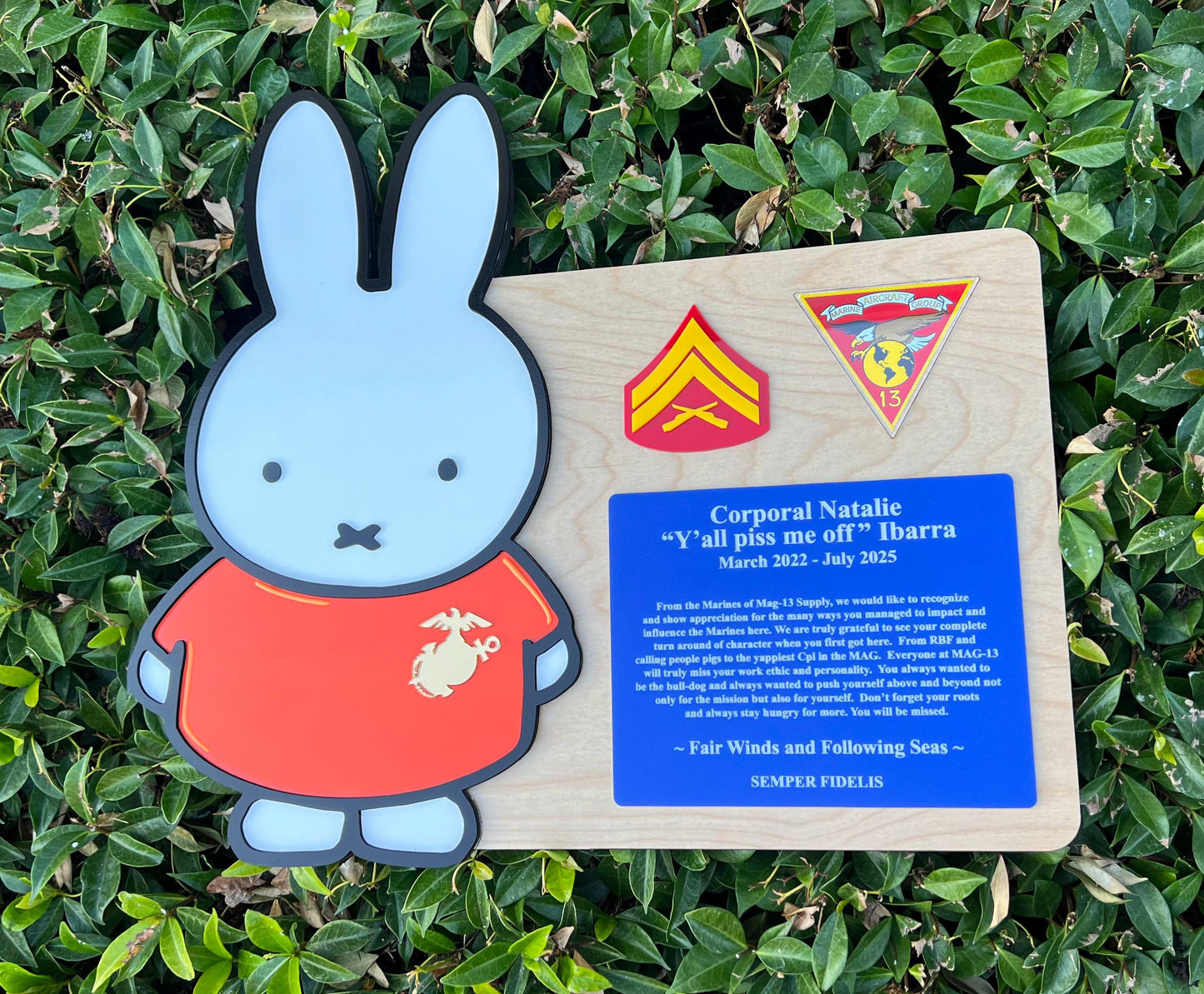 Marine corps plaques, Marine Corps retirement gift,  marine corps gift, USMC plaque, Marine retirement, Marine retired, USMC License #286-23