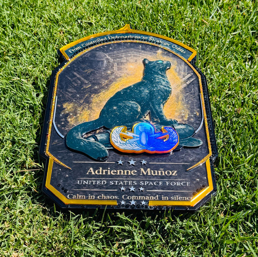 Space Force plaque, Space force going away plaque, Space Force retirement, space force gift retirement, Space force going away gifts,