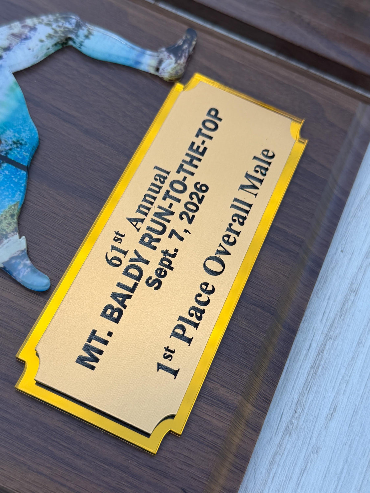 Runner Trophy, Runner award custom , Custum award trophy, Race award plaque, Award plaque custom, Awards and trophies, 1st place award
